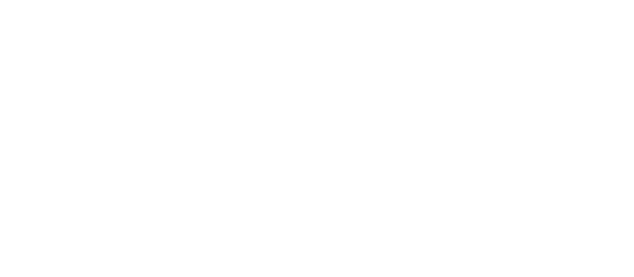 Rooted in Stories
